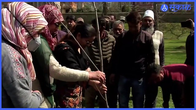 Jammu Kashmir | जम्मू काश्मीरमध्ये चिनार वृक्षारोपण मोहीम सुरू | Sakal |