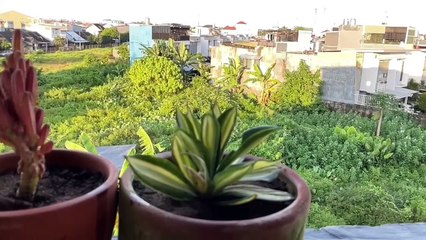 Kebaikanmu Hari Ini: Selagi Tuhan Mengizinkan, Ada 1000 Jalan untuk Berbuat Baik