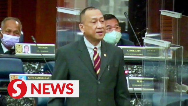Anti-party hopping law should cover senators as well, says Nazri