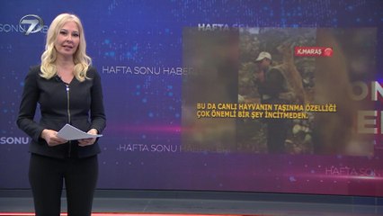 Hafta Sonu Haberleri - 10 Nisan 2022