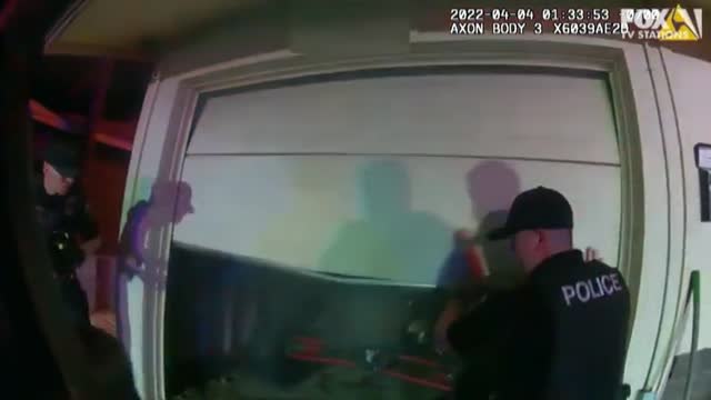 Siete cachorros son rescatados de una vivienda en llamas en Arizona