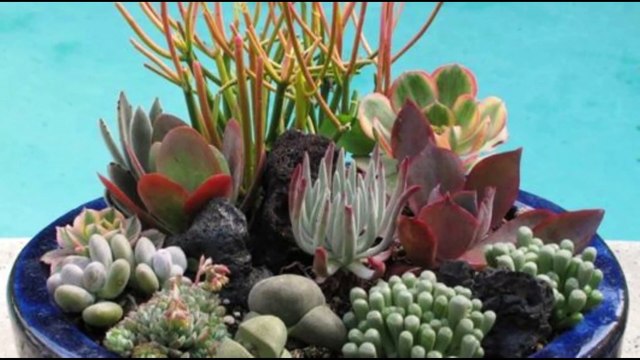 7 IDEAS DE NEGOCIOS CON PLANTAS - APRENDE A CREAR UN NEGOCIO CON TU PASIÓN