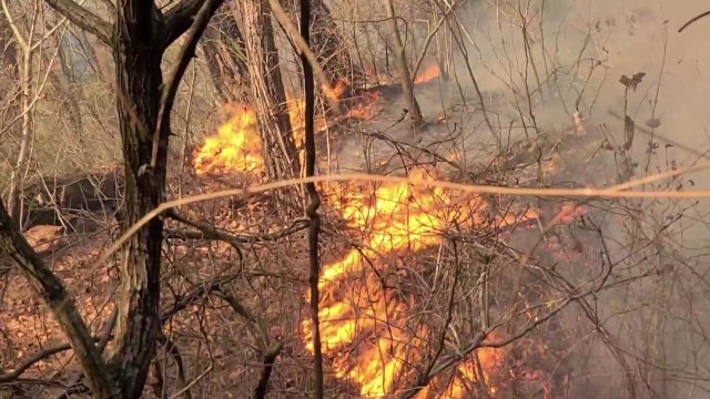 강원 양구 산불 '낙엽 태우다 실화'...경북 군위 산불 3단계 격상 / YTN