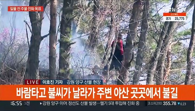 양구·군위 산불 진화 속도…오늘 중 주불 진화 목표