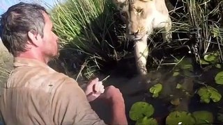 lion retrouve homme qui la soigne 7 plus tôt