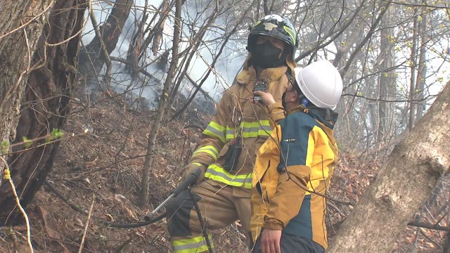 '강풍에 낙엽 태우다 활활'...양구 산불도 주민 실화 / YTN