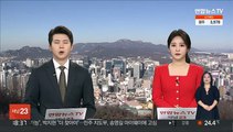 '수퍼 소닉 2' 개봉 첫 주말 깜짝 정상