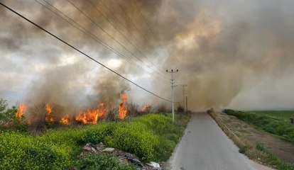 Antalya'da yanan sazlık itfaiye tarafından 1 saatte söndürüldü
