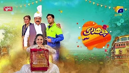 Chaudhry & Sons - Episode 08  10th April 2022 -HAR PAL GEO