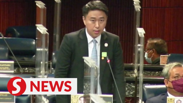 Julau MP: Exclude independent reps from anti-party hopping law