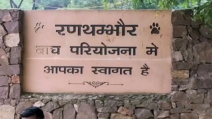 रणथम्भौर में क्यों हो सकता है हादसा जानिए वजह...