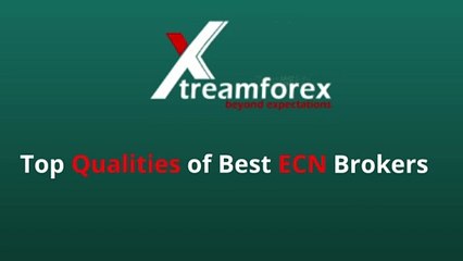 Best ECN Brokers (1)