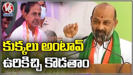 下载视频: BJP Chief Bandi Sanjay Speech , Slams CM KCR In BJP Rythu Deeksha | Hyderabad | V6 News