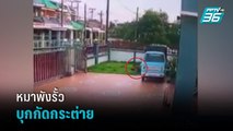 หมาพังรั้วบุกกัดกระต่ายแสนรักจนตายคาบ้าน | เข้มข่าวค่ำ