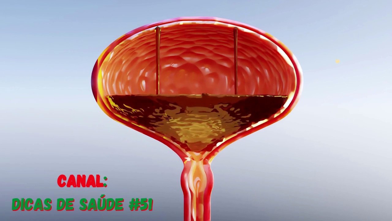 5 Sinais Que Sua PRÓSTATA Está Doente !! e 3 Alimentos Para a Prevenção!