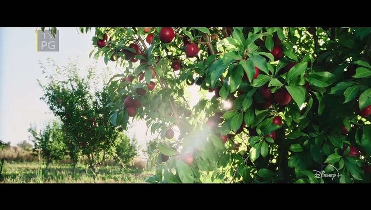 The Biggest Little Farm: The Return - Official Trailer Disney+