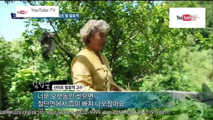 ความลับแห่งเอเชีย ชุด Korea Hunter ตอน อาการคนที่กินน้ำหมัก