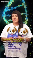 Idéntico en ADN, ¿pero la personalidad?