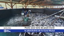 Știrile zilei la Sibiu - Peste zece tone de pești morți la păstrăvăria de la Gura Râului, Au început pregătirile Târgului de Paște la Sibiu şi Accident mortal pe Valea Oltului - Un sibian a murit