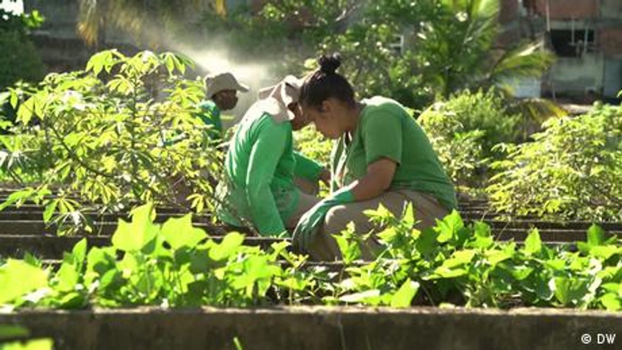 Brasilien: Gärtnern für ein besseres Leben