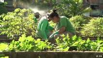 Brasilien: Gärtnern für ein besseres Leben