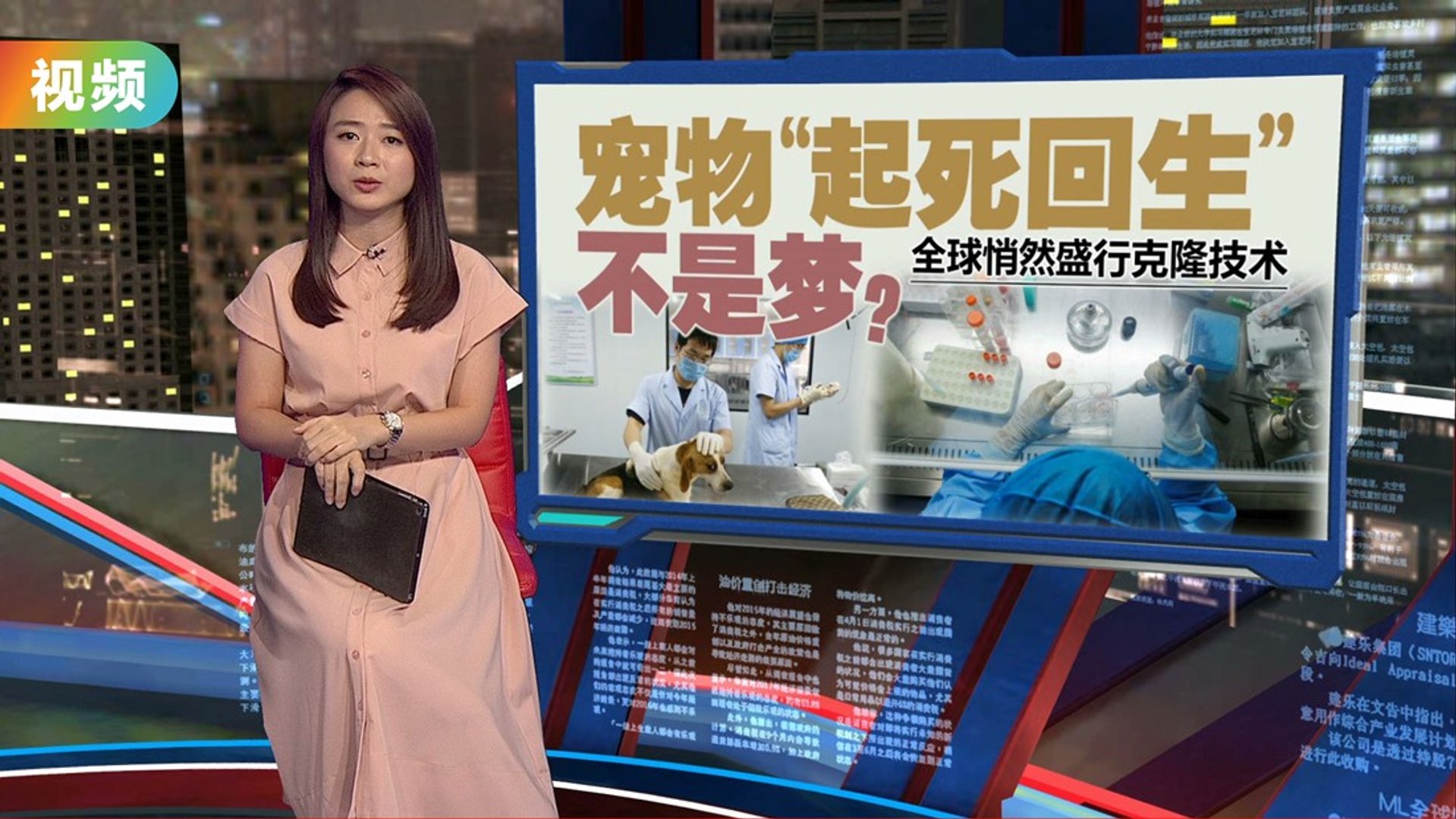 ⁣宠物“起死回生”不是梦？   美国女网红复制克隆猫