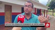 Furto de fios atrapalham atendimento de centro Animal; veja