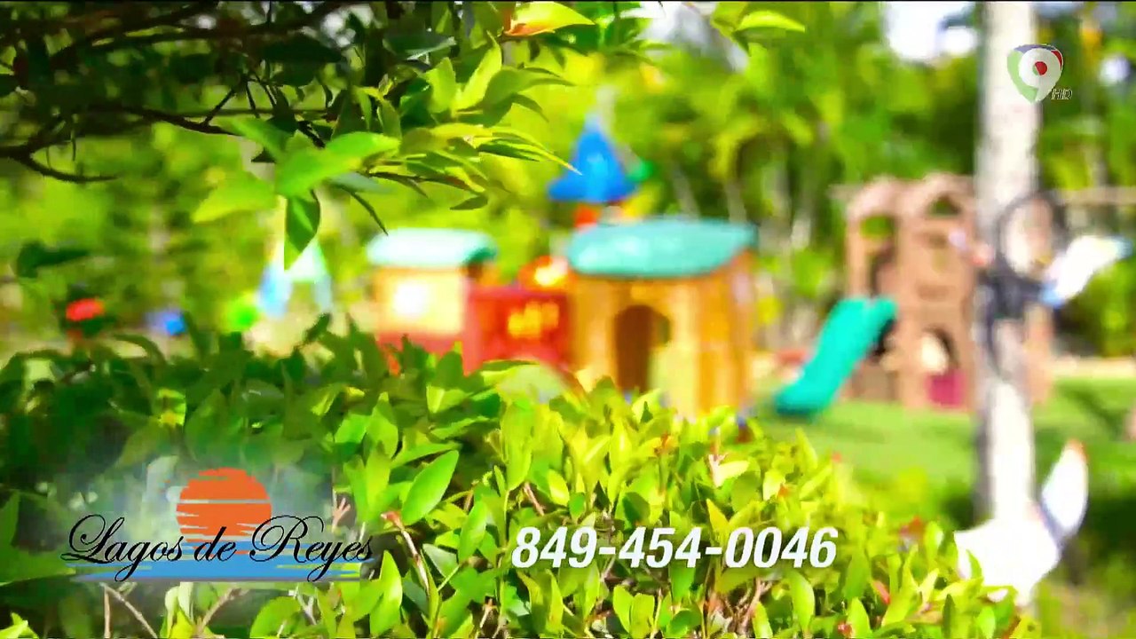 Entrevista a Senador Estatal de New York, Luis Sepulveda  | El Show del Mediodía