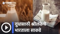 Sri Lanka Milk Crises मुळे ३० वर्षांनंतर आयातबंदी उठवली | Sri Lanka Crisis