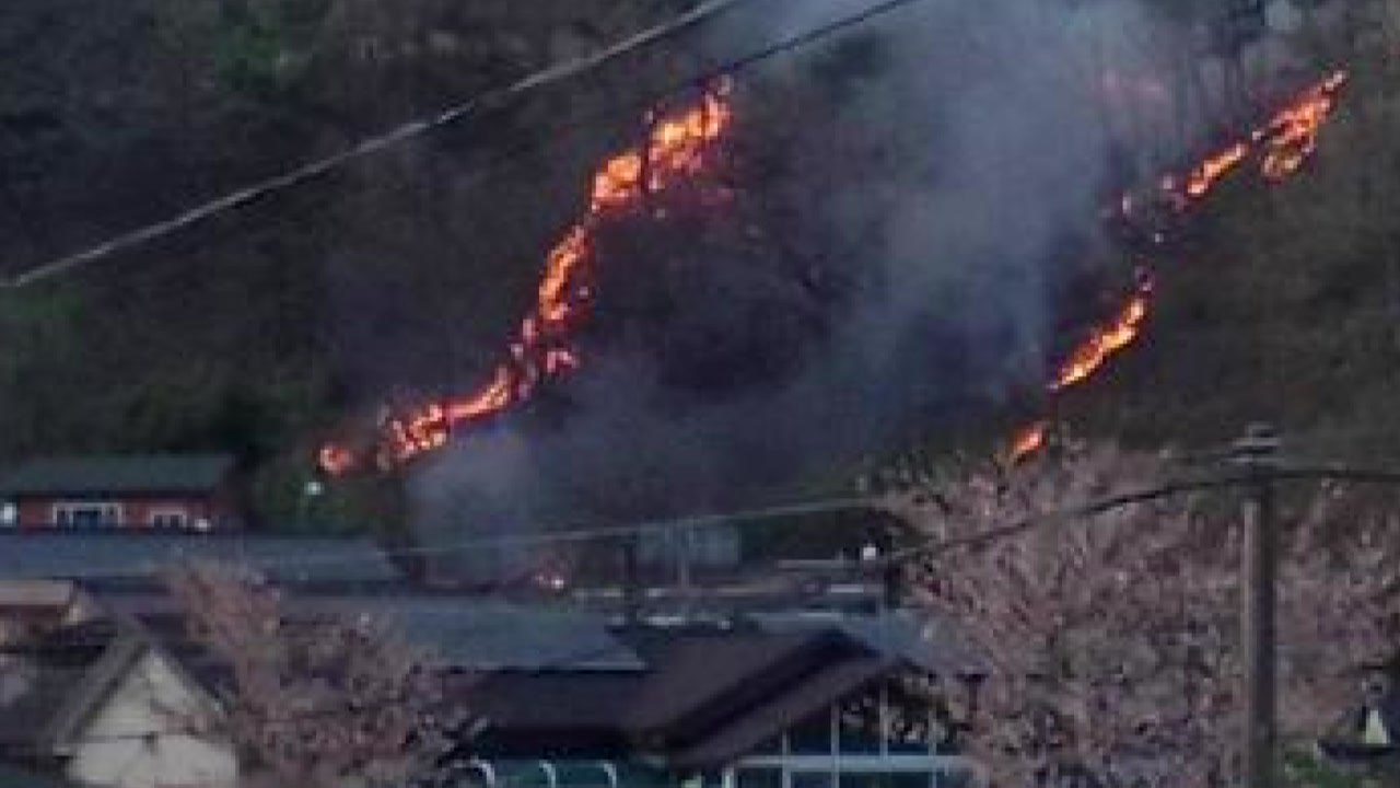 울산 울주 산불 1시간 반 만에 진화...산림 0.5ha 태워 / YTN