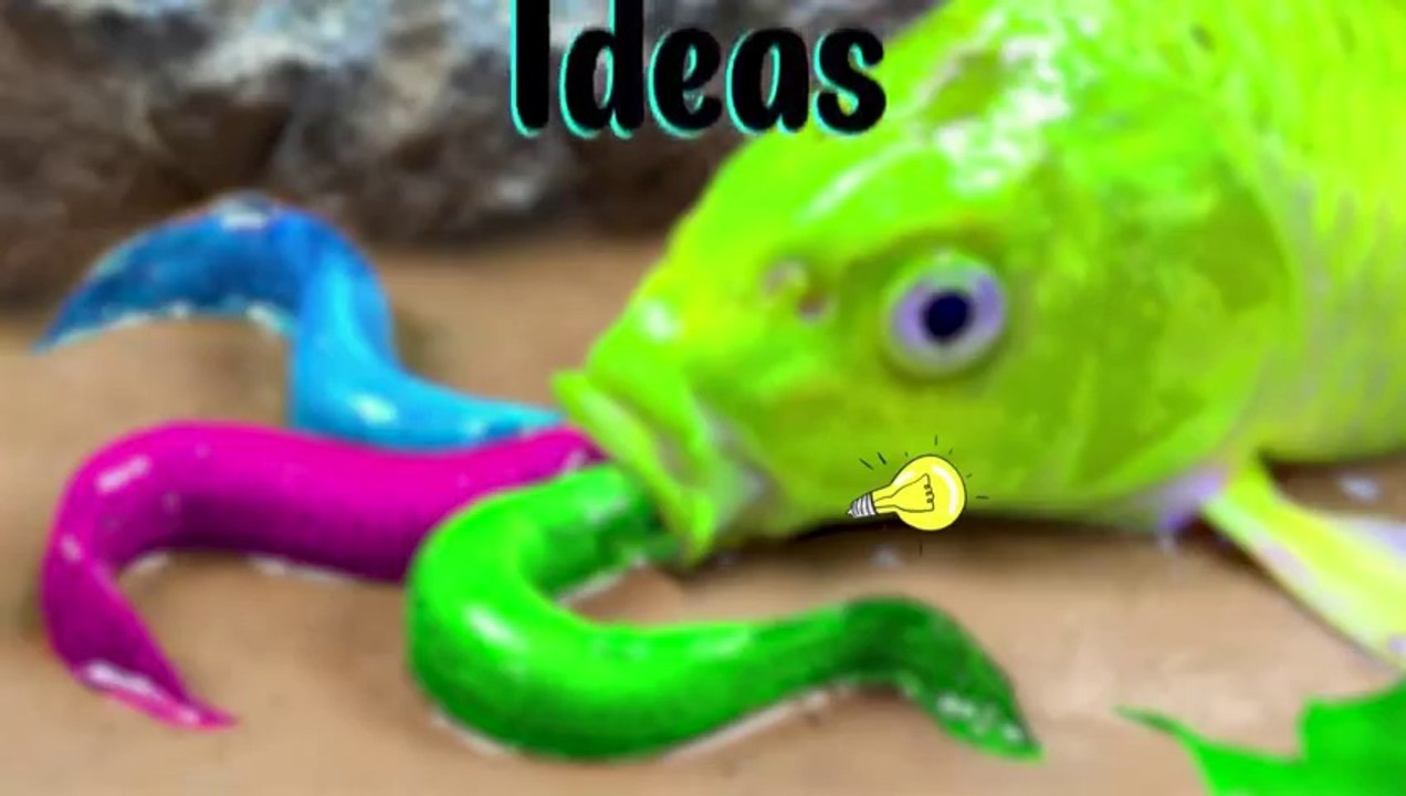 Traps for catfish, rainbow eels, ornamental fish - Stop Motion ASMR Primitive Cooking