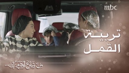 من شارع الهرم إلى | الدكتورة عبلة تنصدم بطلب أحفادها بتربية القمل 