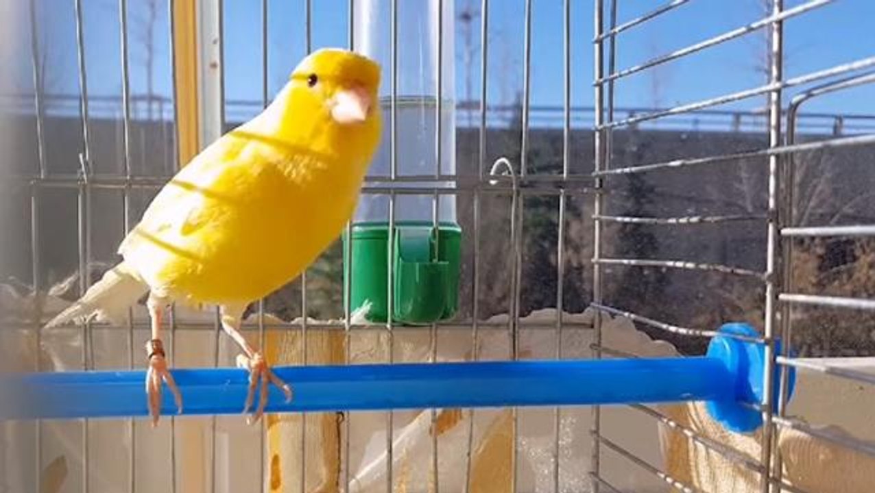 Galatasaray'dan Fenerbahçe'nin göndermesine cevap! Beğenilerin ardı arkası kesilmiyor