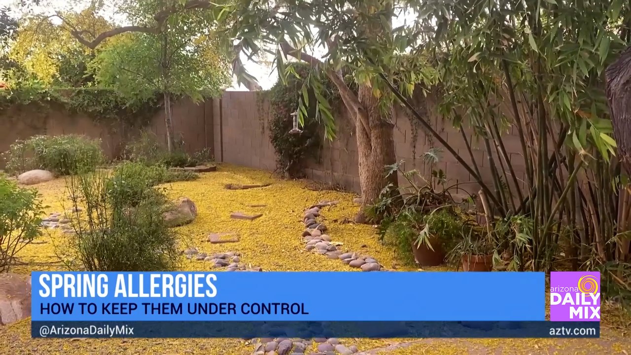Dr. Julie Wendt on Keeping Spring Allergies Under Control