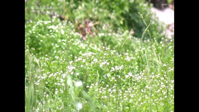 731からフクシマまで３