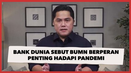 Bank Dunia Sebut BUMN Berperan Penting Hadapi Pandemi di Dalam Negeri