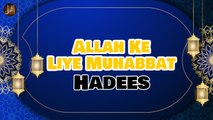 Allah Ke Liye Muhabbat | Sunnat e Nabvi | Deen Islam | Hadees