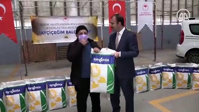 Çanakkale'de üreticilere yüzde 50 hibeli ayçiçeği tohumu dağıtıldı