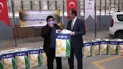 Çanakkale'de üreticilere yüzde 50 hibeli ayçiçeği tohumu dağıtıldı