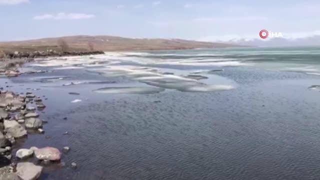 Son dakika haberleri: Buz tutan Çıldır Gölü çözülmeye başladı