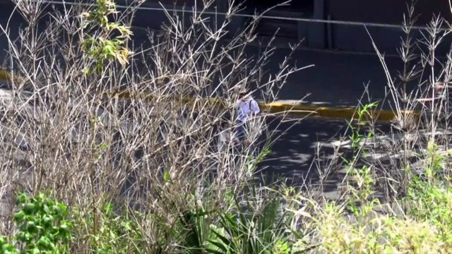 الهدوء يسود شوارع شنغهاي بسبب الإغلاق