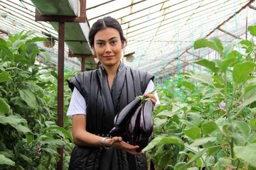 Tüketiciye ucuz sebze müjdesi