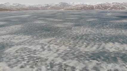 Yazıcı Barajı'nın buzla kaplı yüzeyi henüz çözülmedi