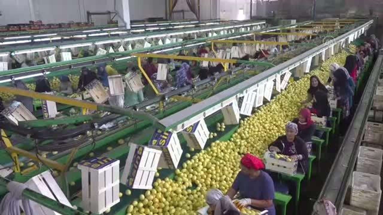 Yaş meyve sebze ihracatı yılın ilk çeyreğinde ülkeye 762 milyon dolar getirdi