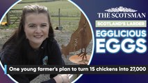 Scotland's Larder: Egglicious Eggs