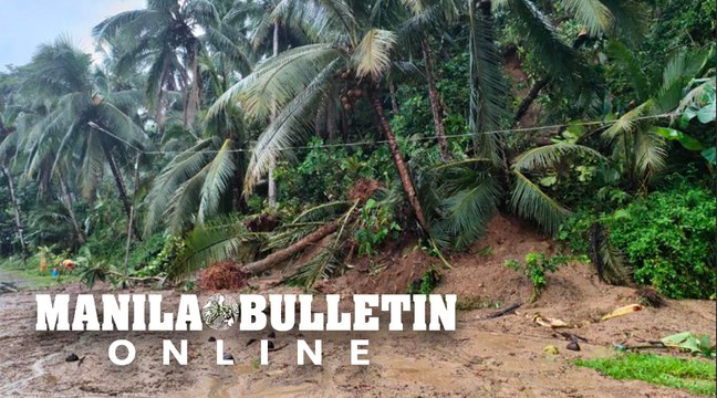 Village officials from Brgy. Bunga, Baybay City appeals for help for the families affected by TD Agaton