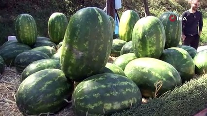 Karpuzun fiyatı yükselince çözümü IBAN’da buldu: Satışları ikiye katladık