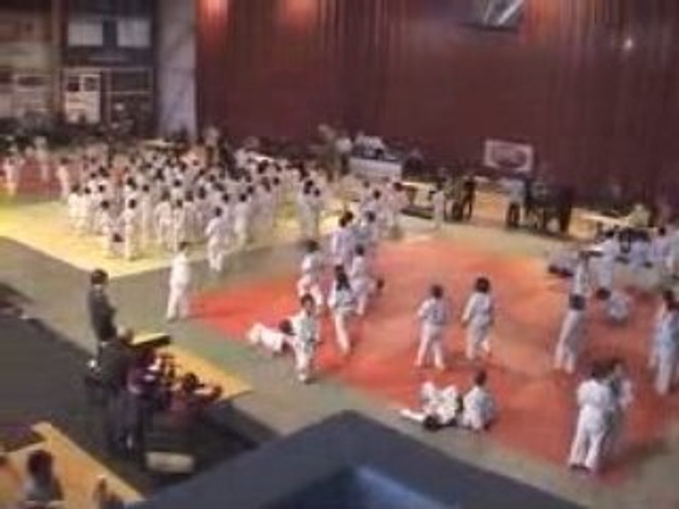Judo_orthez_janvier_08