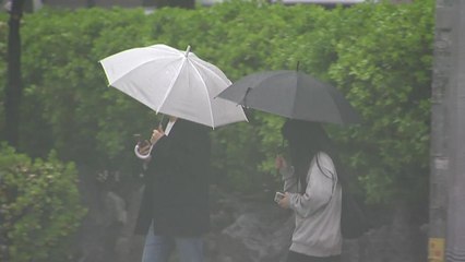 오늘 밤부터 흡족한 단비..."산불, 한숨 돌렸다" / YTN