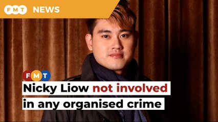 Nicky Liow not involved in any organised crime, just a guy who shows off his wealth, says lawyer